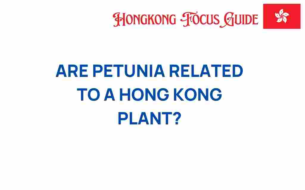 petunias-hong-kong-plant-connection