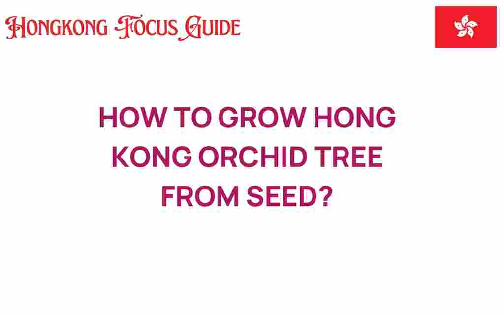 grow-hong-kong-orchid-tree-from-seed