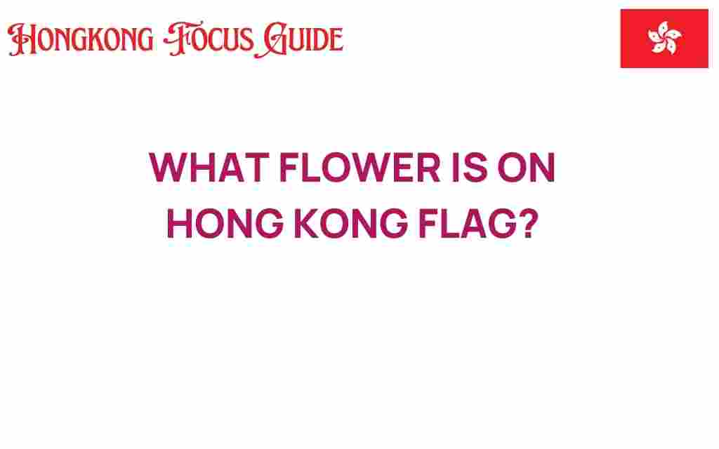 hong-kong-flag-bauhinia-flower